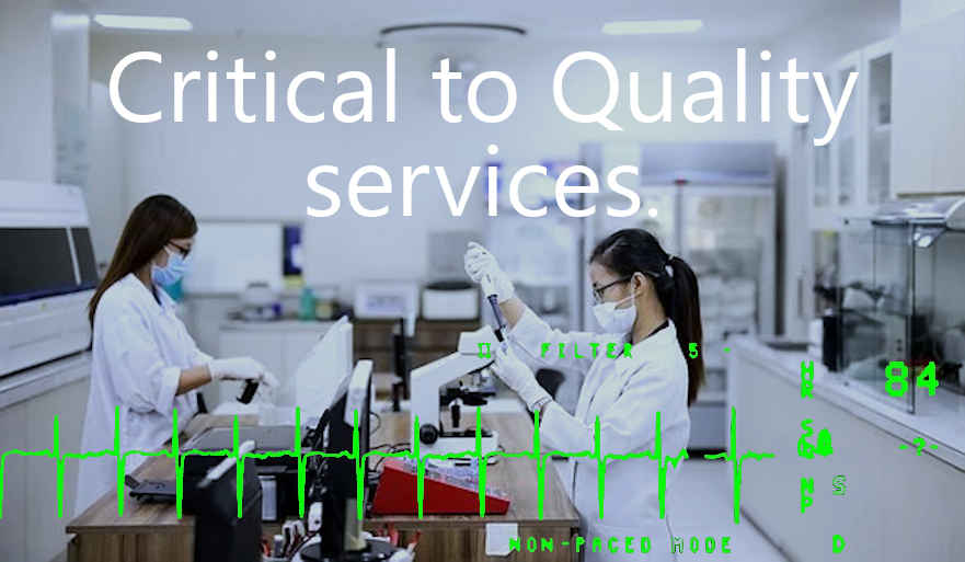 critical to quality services software medical device pharmaceutical